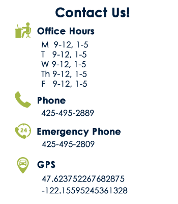 Contact Form Bellevue WA