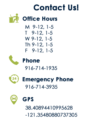 Contact Form Elk Grove CA