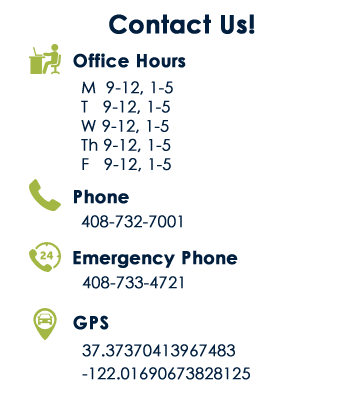 Contact Form Sunnyvale CA
